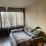 The Scheveningse Meisjes