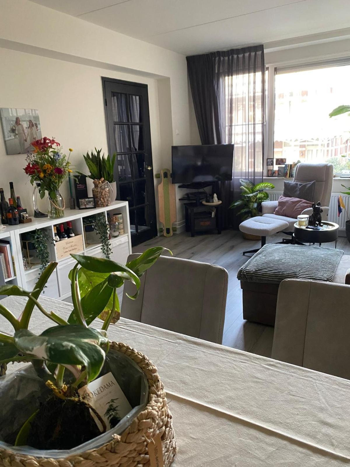 The Scheveningse Meisjes Appartement